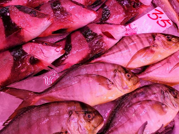 Chronobiologie : comment synchroniser son horloge interne ?